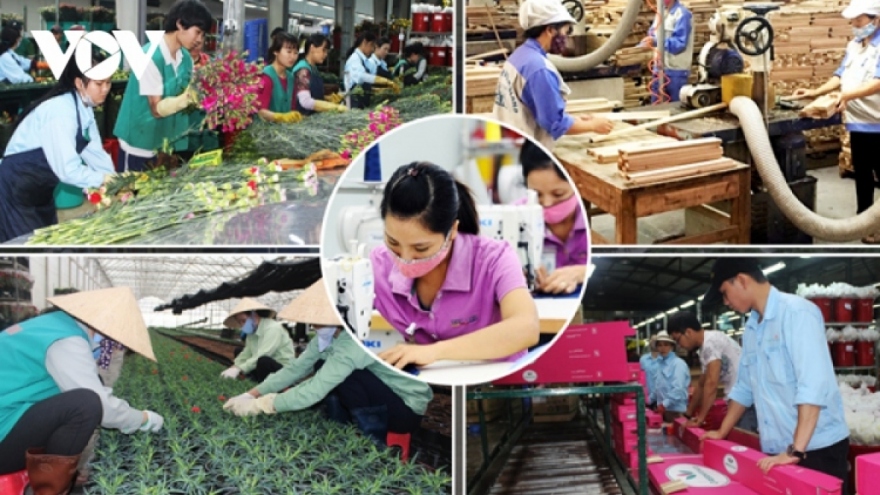 A dual success of Vietnamese economy